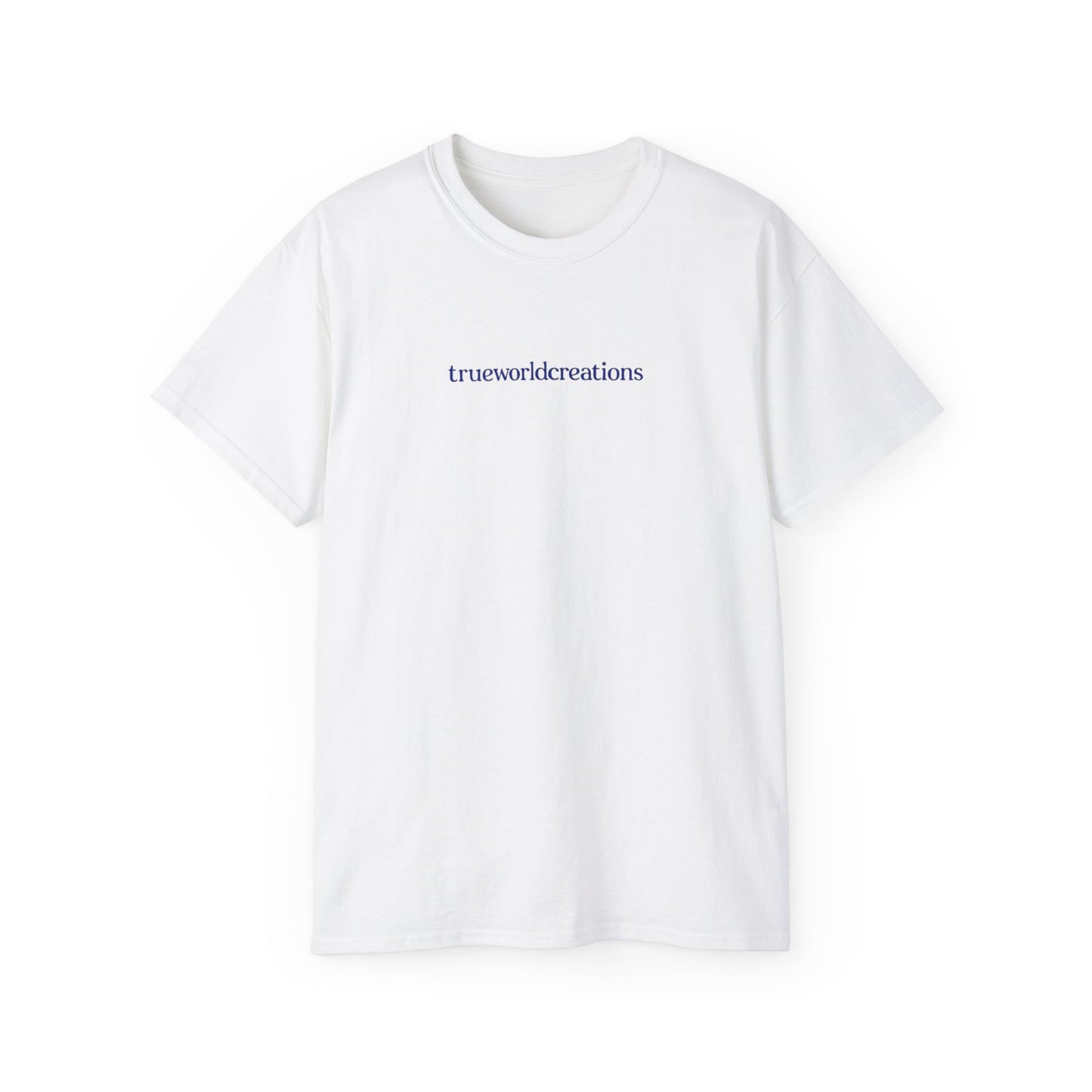 Inspiring Unisex Tee - TWC World View Graphic