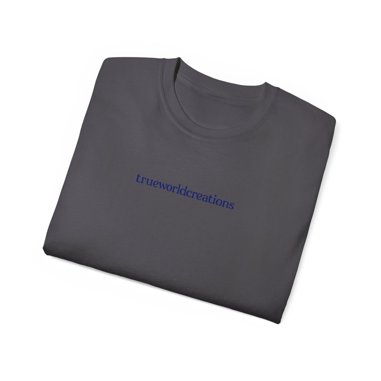 Inspiring Unisex Tee - TWC World View Graphic