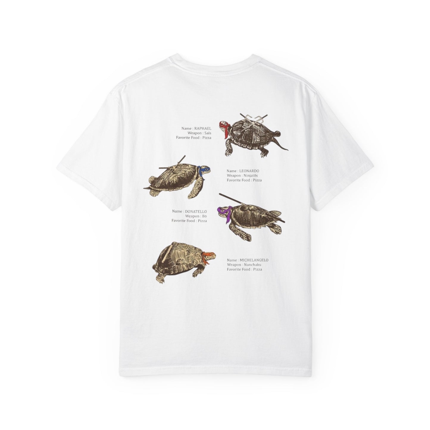 Turtles Illustration T-Shirt — Vintage tmnt Turtle Species Graphic Tee